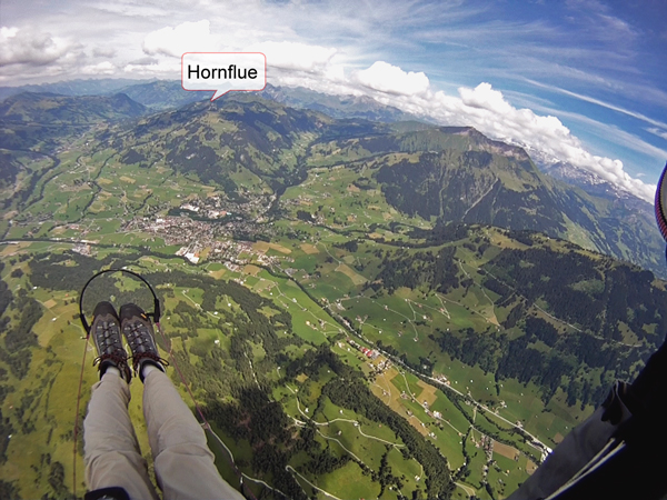 [volé] Vendredi 15 juillet: Gstaad ou Chamossaire Hornfl10