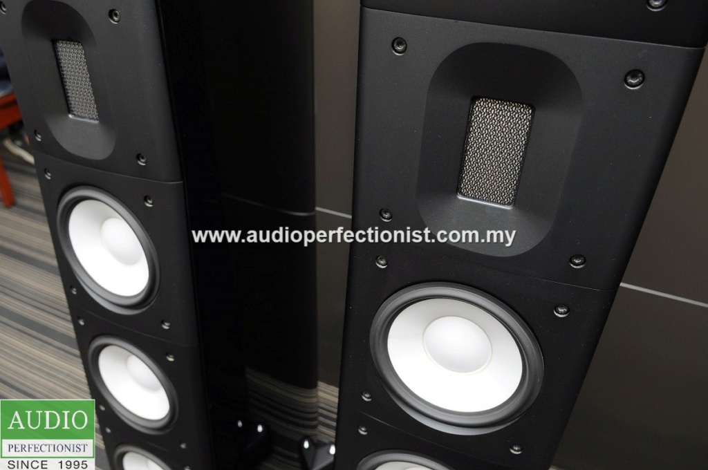 Raidho C3.2 floorstanding speakers (used) Dsc_0128