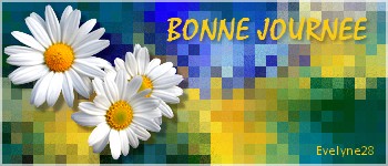 N ° 41 PFS " Fond Bannière " :" Effet Mosaïque" Fond_b11