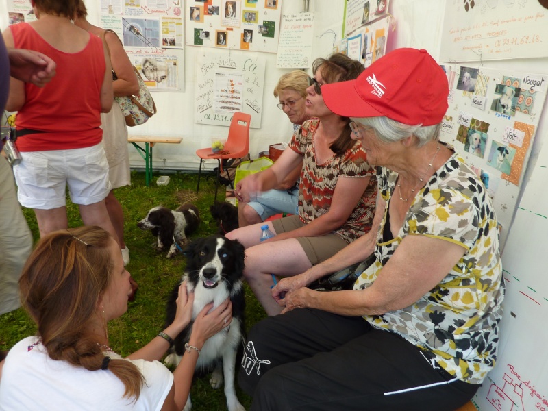 UN APREM DE CHIENS P1000724