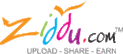 البرنامج المشهور diviX plus 8.12 Log-zi16