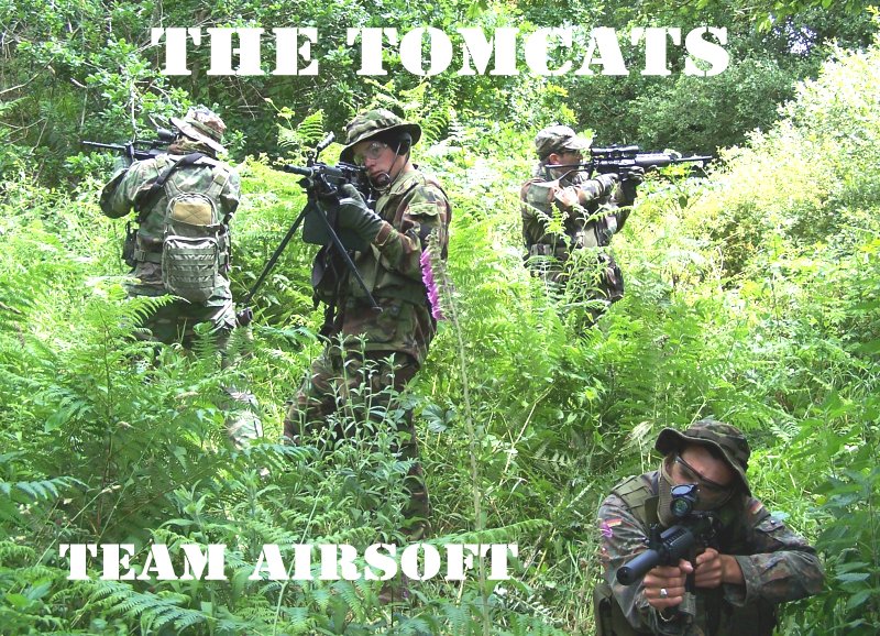 THE TOMCATS