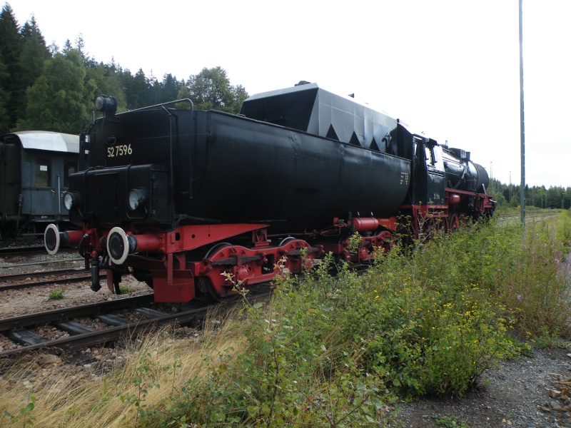 Quelques photos d'Allemagne. Train_76