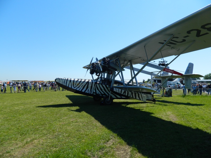 La Ferté Alais 40ène édition - Page 3 Dscn4710