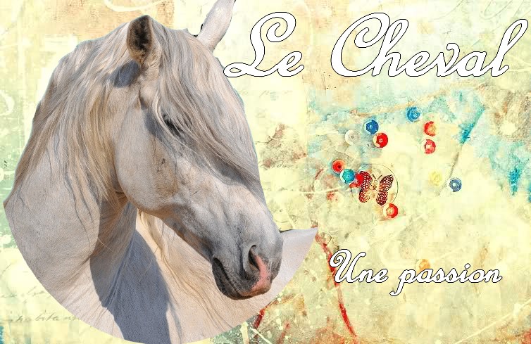 Graphisme Cheval10