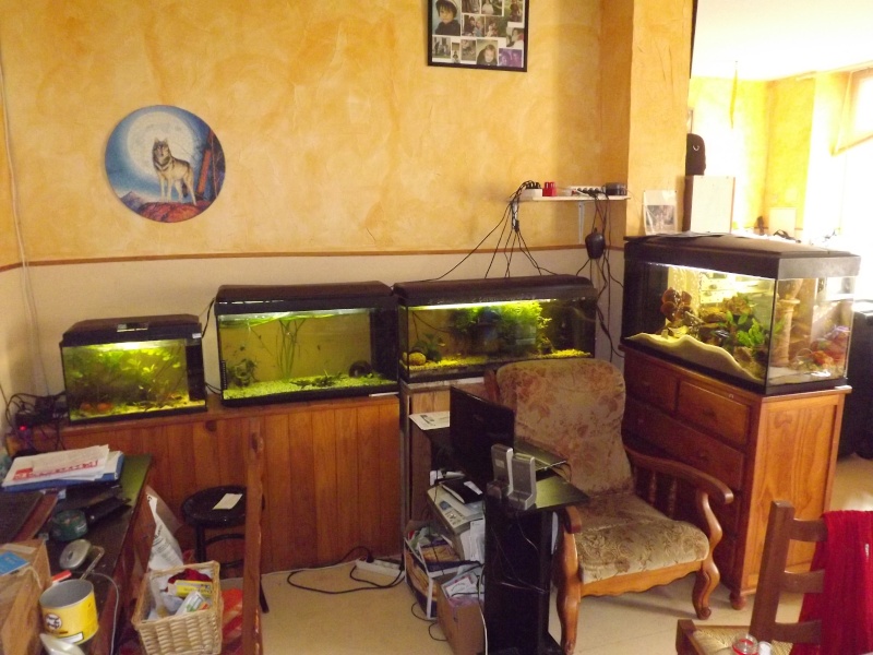 ma  fishroom Dscf2411