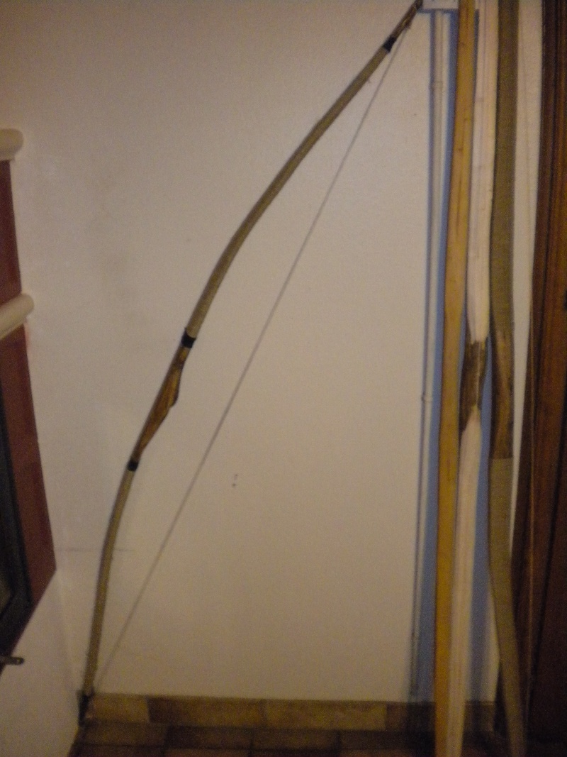[Chasse / Archerie] Fabrication d'un arc en vie sauvage Dscn2110