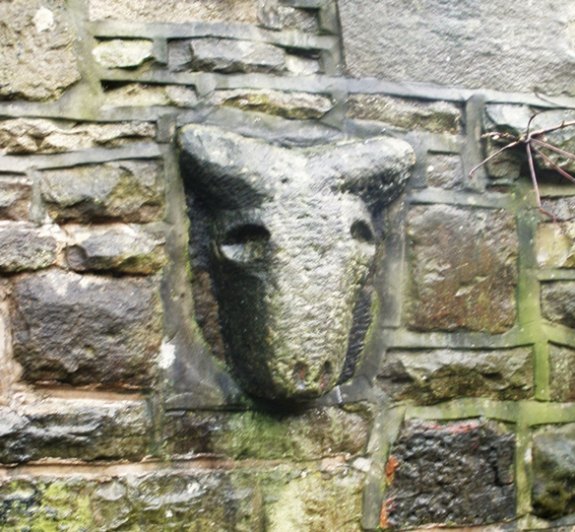 Celtic Stone Heads in Bacup, Lancashire ??? Animal10