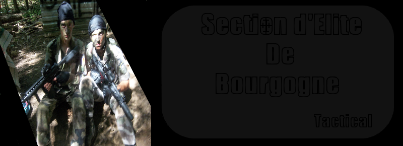 Section d'Elite de Bourgogne Tactical