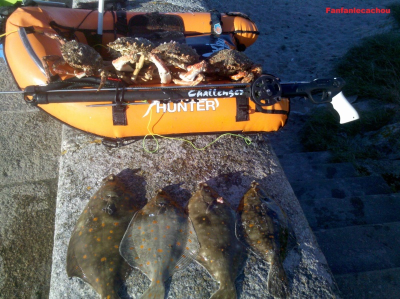 saison chasse sous marine 2012 19_mar10