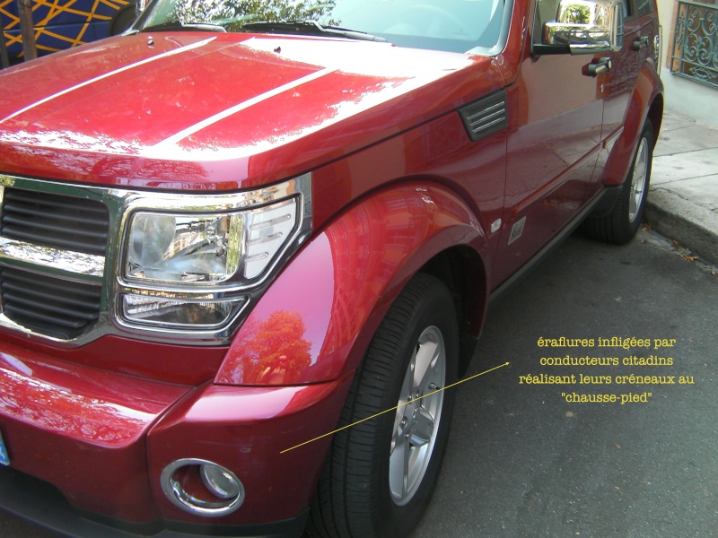 pare buffle - protections pare choc - Page 2 Sany2021