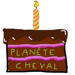 Happy birthday Planète Cheval ! Gateau10