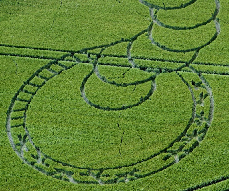 Crop circles année 2012 - Page 7 004i-t10