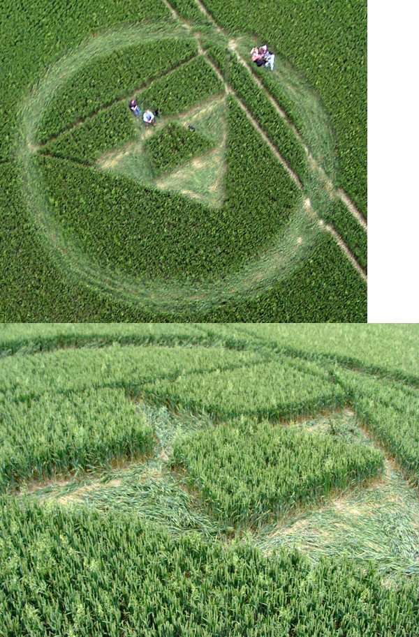 Crop circles année 2012 - Page 6 1114