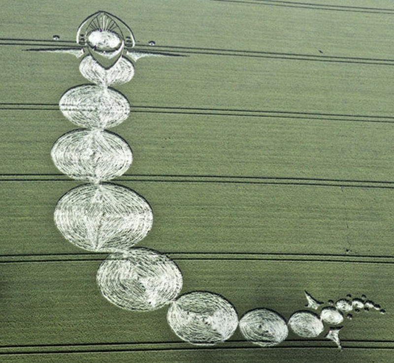 Crop circles année 2012 - Page 6 221