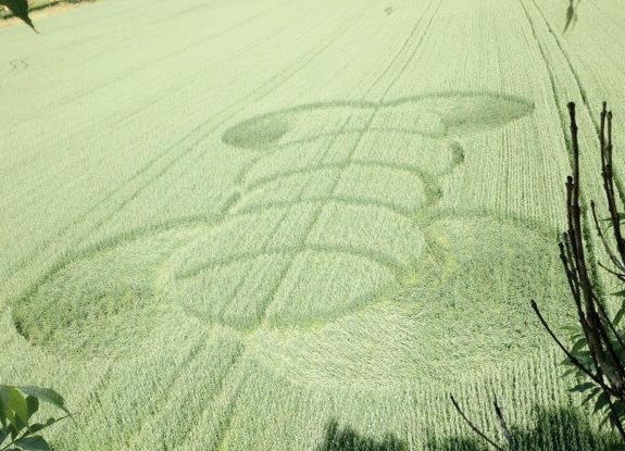 Crop circles année 2012 - Page 8 999110