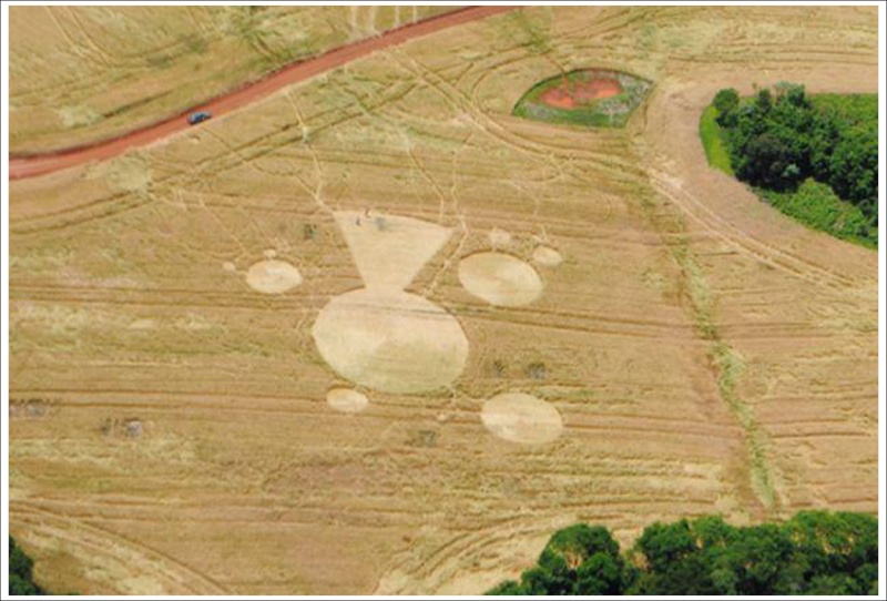 Rappel des derniers crop circles, en attendant le premier de la saison... Brazil10