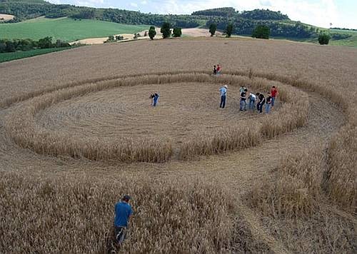 Rappel des derniers crop circles, en attendant le premier de la saison... Circle11