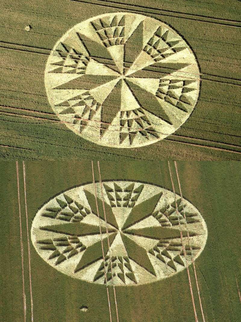 Crop circles année 2012 - Page 8 Corley10