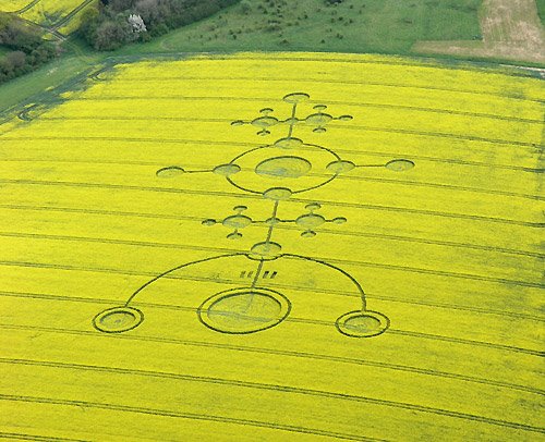 Crop circles négatifs et crop circles positifs? Crop_c21