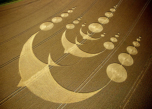 Crop circles négatifs et crop circles positifs? Crop_c22