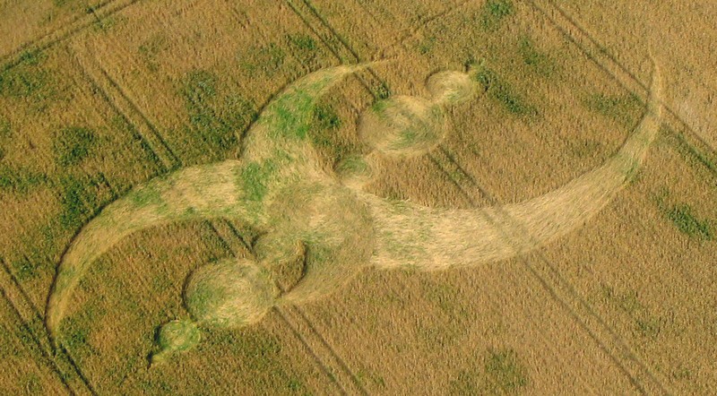 Le probleme franco-allemand des crop circles Hvo10