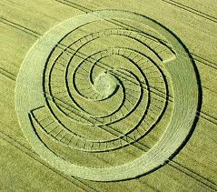 Le probleme franco-allemand des crop circles Images44