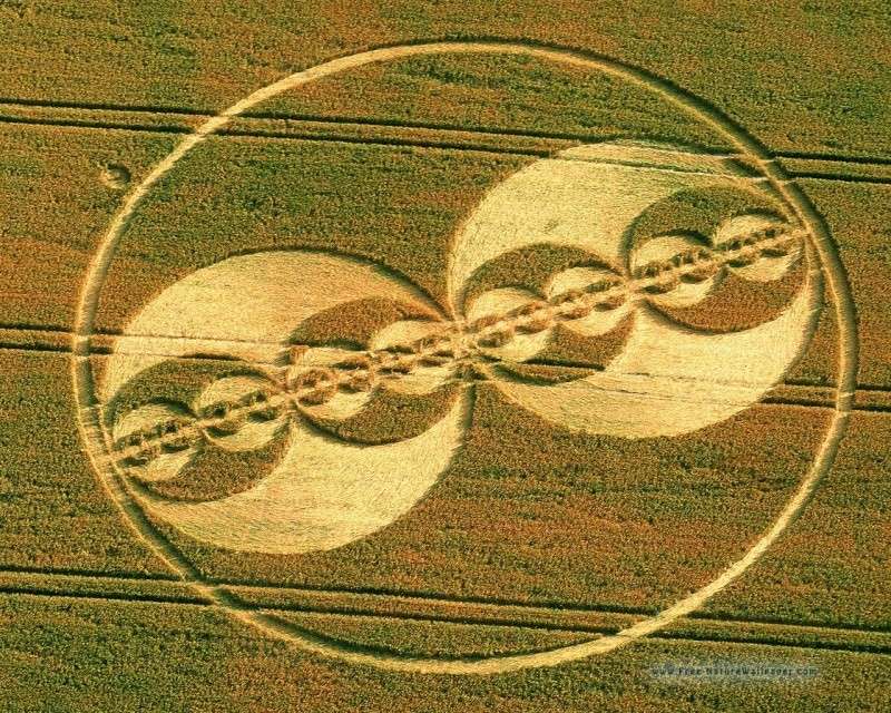 Le probleme franco-allemand des crop circles Infini10