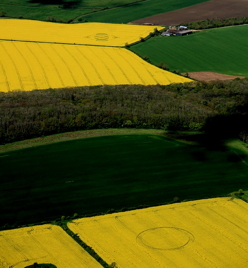 Crop circles année 2012 - Page 2 Water211