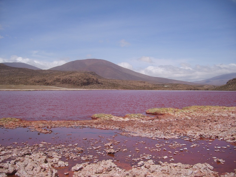 La Laguna de "Sangre" 31736910