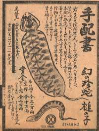 El Tsuchinoko. El ser criptido más buscado de Japón. Tsuchi11