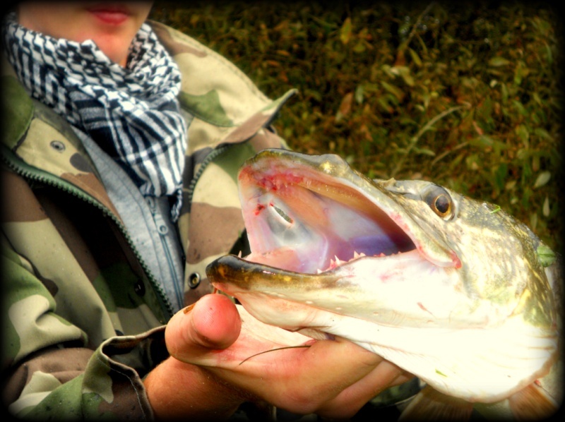 photos du mois poissons ;Election!!! Broche41