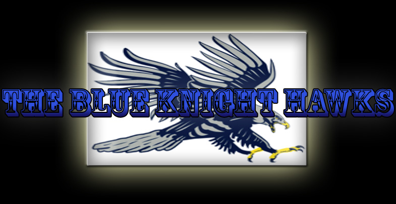 The Blue Knight Hawks Untitl14