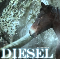 Diesel ♦  Cow-boy [PRIS] Diesel10