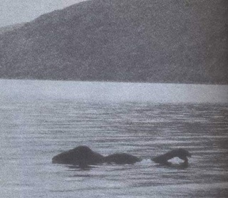 [Cryptozoologie - Loch Ness] Nessie : La théorie de l'éléphant Ness-610