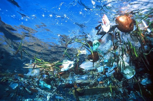 Les micro-déchets en méditerranée  33849610