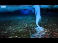 بالفيديو… عامود من الجليد يسقط في البحر قاتلا كل شيء في طريقه! Defau135