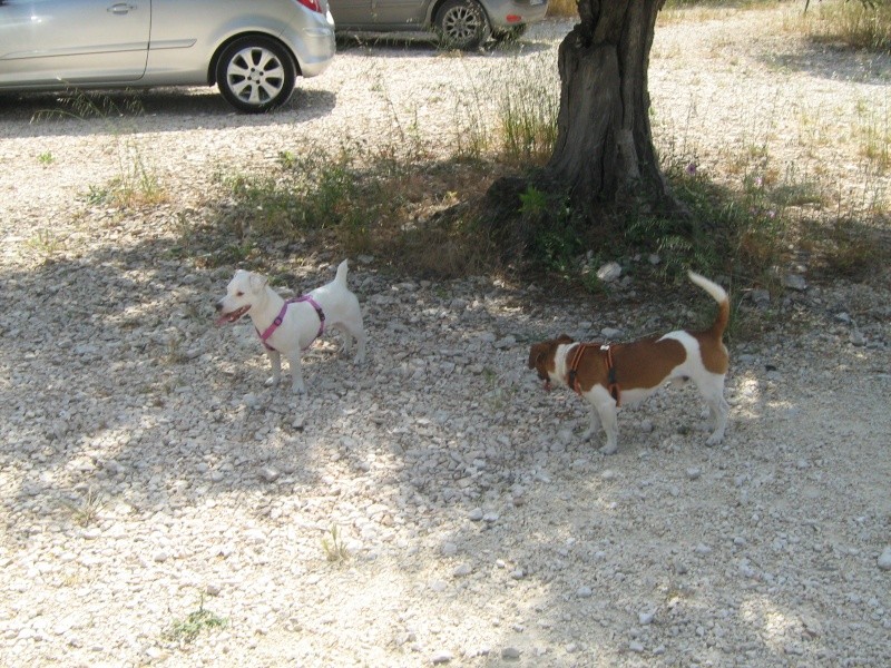 Foto del raduno di SCIACCA 00510