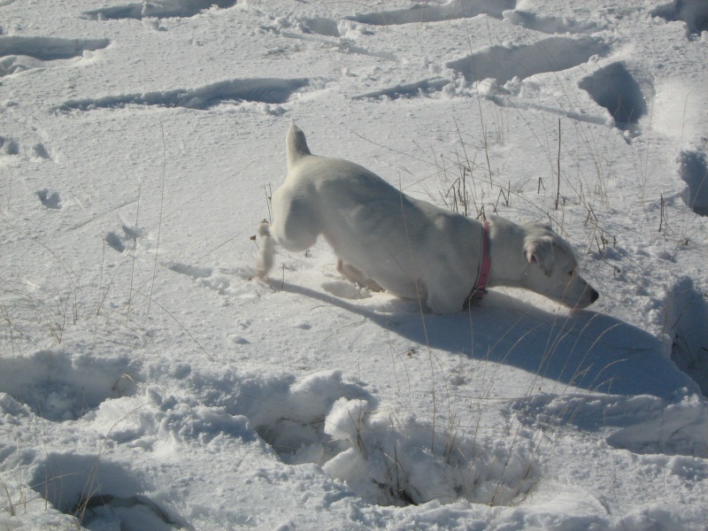 Prima volta sulla neve! Foto_111