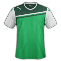 L'Irlande cherche un nouveau maillot............ Puma_111