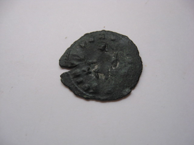 Antoninien Img_8012