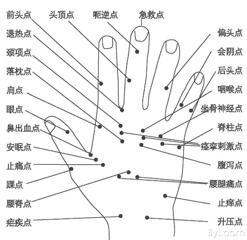 Hand Acupuncture  手针疗法 11a08810