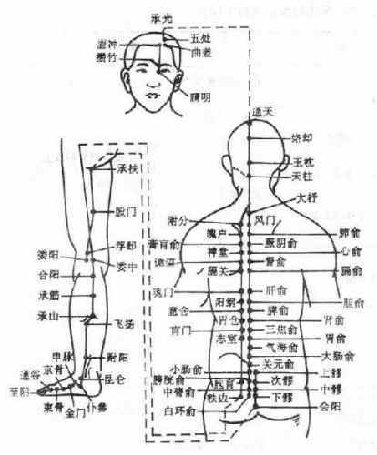 Human Meridian run time table 人体经络运行时辰表 33917712