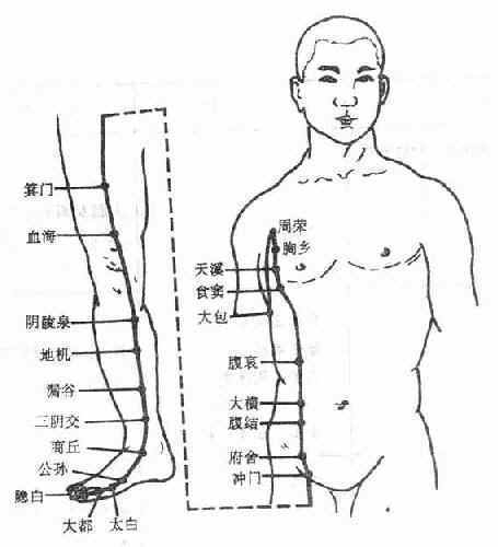 Human Meridian run time table 人体经络运行时辰表 33917723