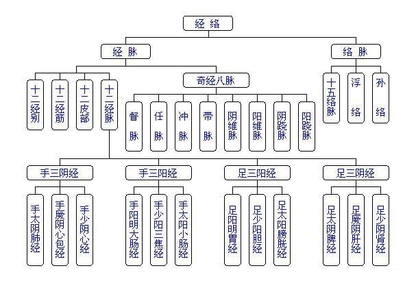 Human Meridian run time table 人体经络运行时辰表 44a1d612