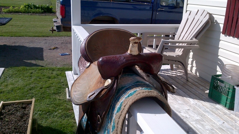 15" cody roughout barrel saddle Img_0011