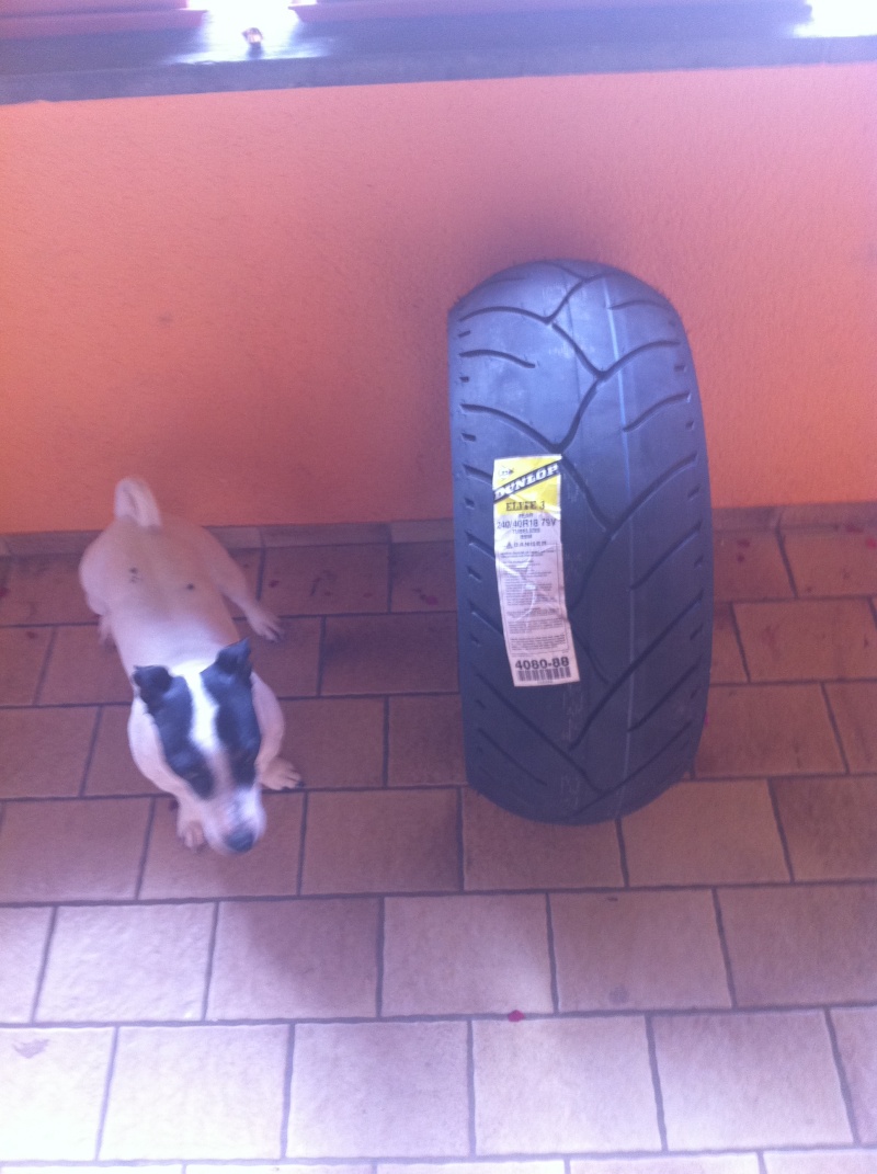 voila mon nouveau pneu pour la v-rod Photo_12