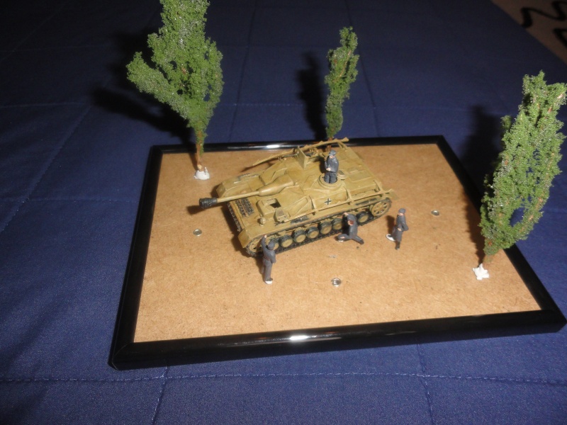 Diorama Sturmgeschutz IV 1/72 Dsc01812