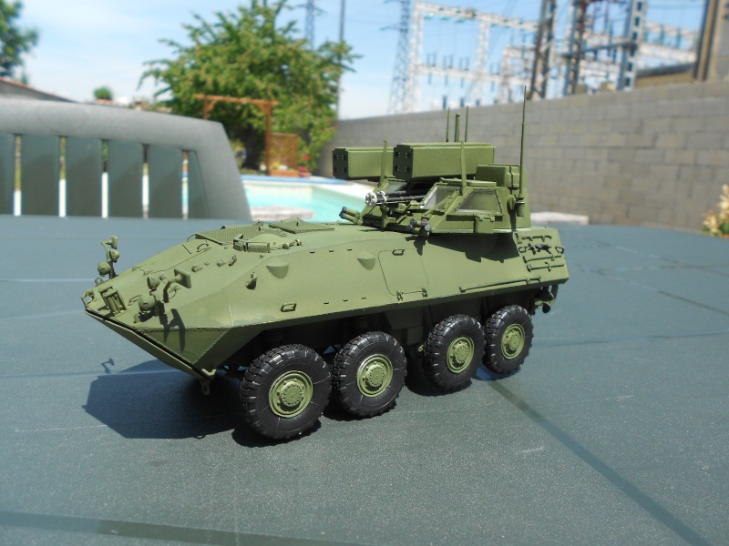 LAV-AD (Trumpeter n°00393; 1/35) + vignette Terminé !!! - Page 2 Dscn1215