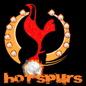 HotSpurs- Official Team thread - Page 2 Hotspu15